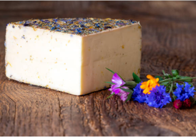 Tomme de Printemps : notre fromage au lait cru, frais et herbacé